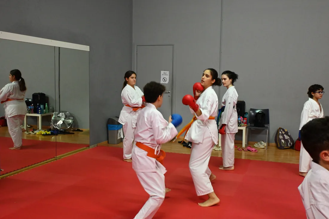Karate tradizionale
